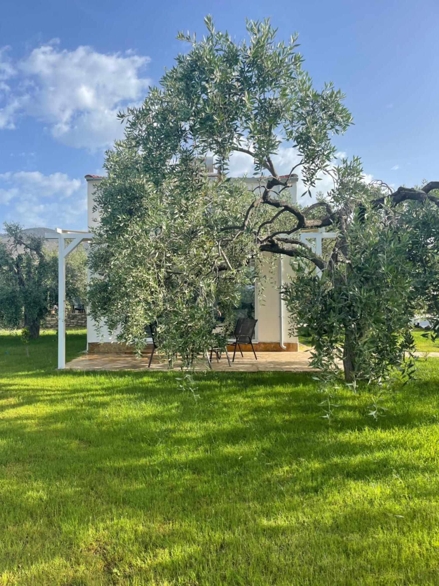 Makarona Village Villa